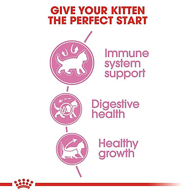 [2kg] Hạt Royal Canin Kitten Cho Mèo Con