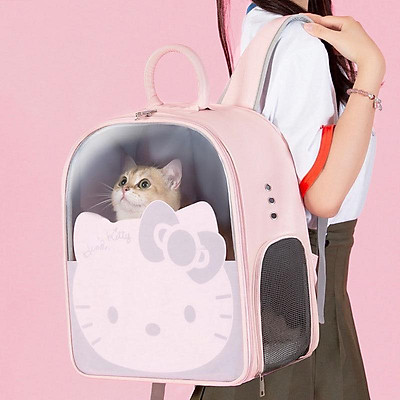 hello kitty pet carrier