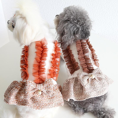 teacup poodle clothes