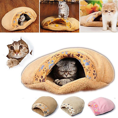 cute puppy bed