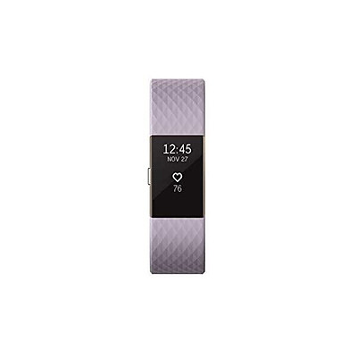 fitbit charge 2 wristband