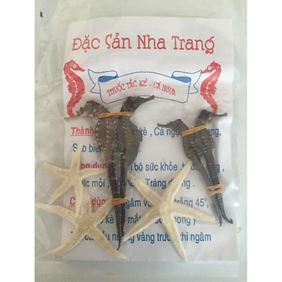 1 cặp cá ngựa 9-11cm - HẢI MÃ