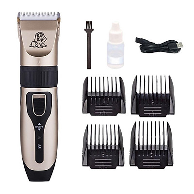 zippypaws loopy hedgehog