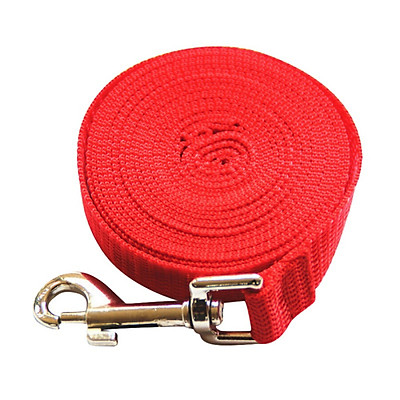 red dog leash