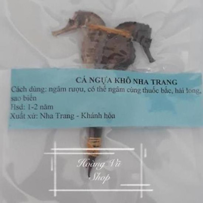 1 cặp cá ngựa 9-11cm - HẢI MÃ