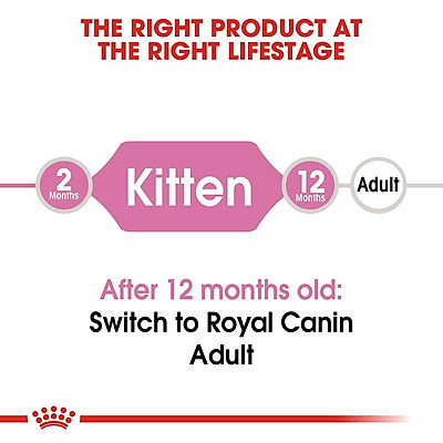 [2kg] Hạt Royal Canin Kitten Cho Mèo Con