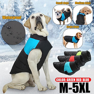 padded dog coat