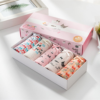 Quần Chíp Bé Gái,Quần Lót Bé Gái Set 5 Chiếc Kháng Khuẩn 100% Cotton Với Họa Tiết Hoạt Hình Ngộ Nghĩnh Dành Cho Bé từ 2-13 tuổi PK24