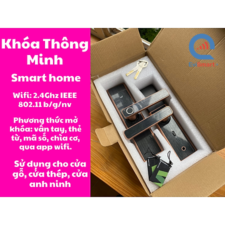 Khóa Cửa Thông Minh - OMG - Khóa Cửa Thông Minh - model X9 Tính Năng Sử Dụng Qua App Điện Thoại mạng wifi