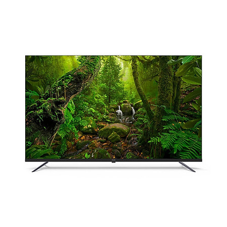 Google TV Philips 65 Inch 4K UHD QLED 65PQT8169  - Hàng Chính Hãng