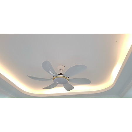 Quạt trần đèn trang trí cánh cong,điều khiển cầm tay từ xa 6 chế độ mát có đảo chiều hút ẩm mùa đông