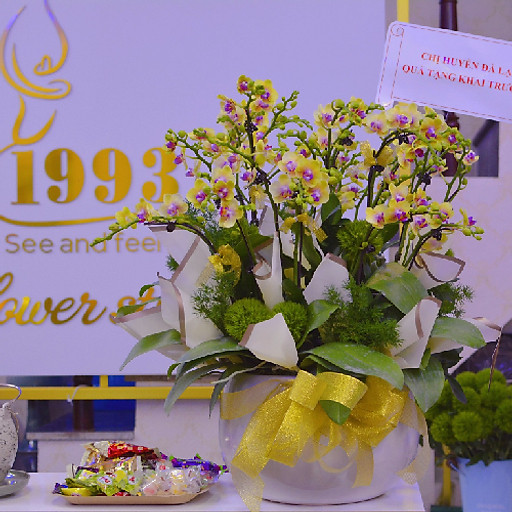 Nguyễn Tương Thuật