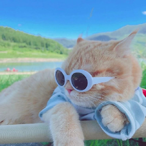 Huỳnh Phạm Thùy Tiên