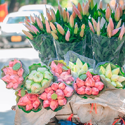 Nguyễn Thuý Ngọc