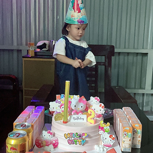 nguyễn thị hoàn