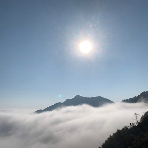 Nguyễn Sơn Đông 