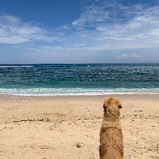 Nguyễn Hữu Quân