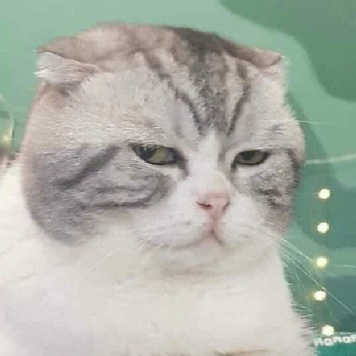 Nguyễn Ngọc Hương