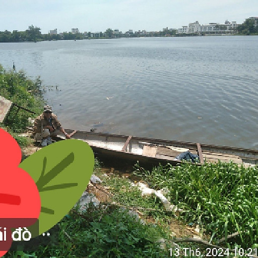 Thảo Dược Nguyễn Thành