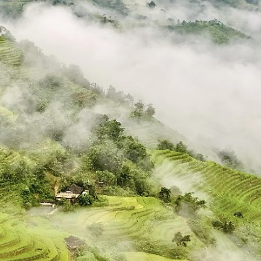 Nguyễn Tuấn Quang