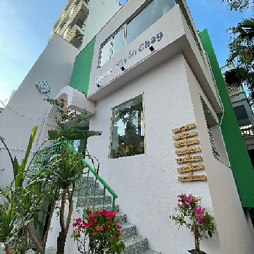 Hai Anh Nguyen