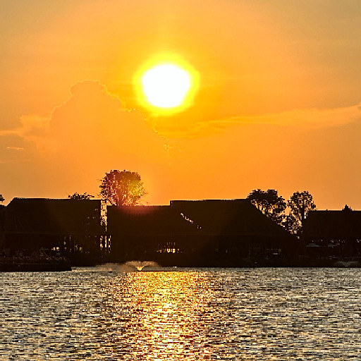 Nguyễn Sơn  Trainer