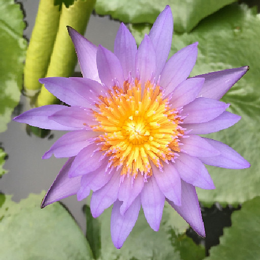 Nguyễn Trọng Đức