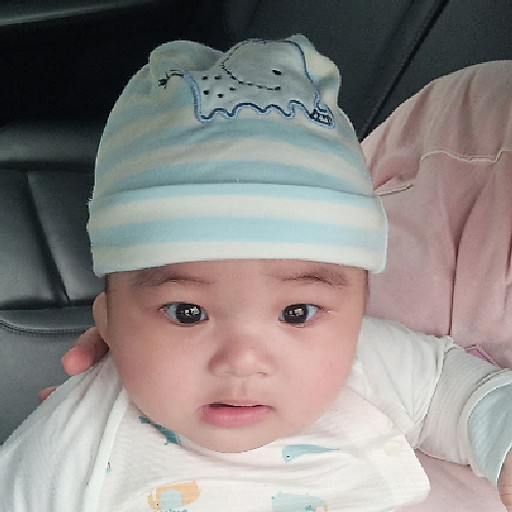 Trần Quỳnh Hân