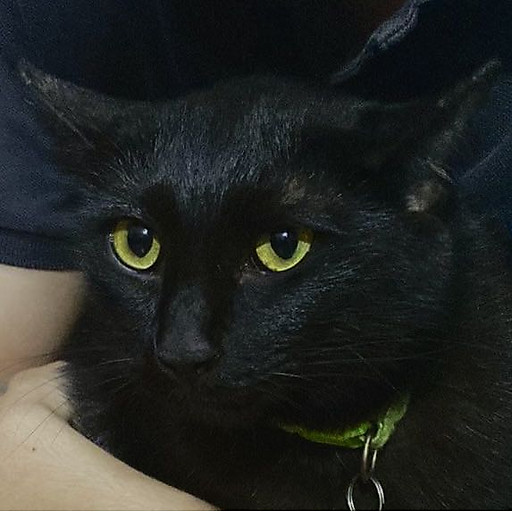 Nguyễn Văn Hiệp