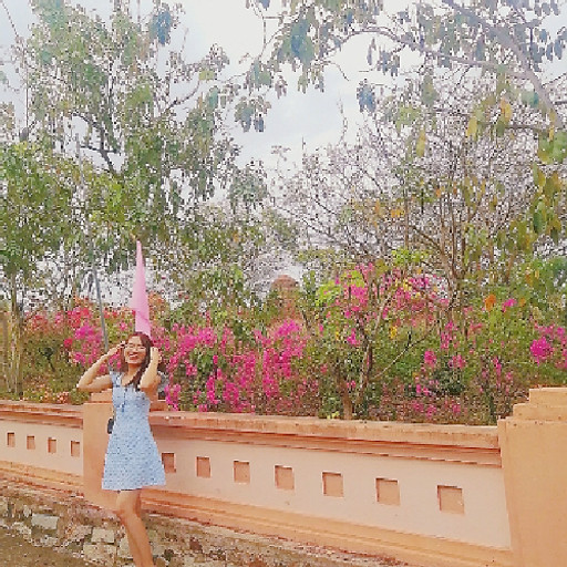 Nguyễn Lê Hạnh Nguyên