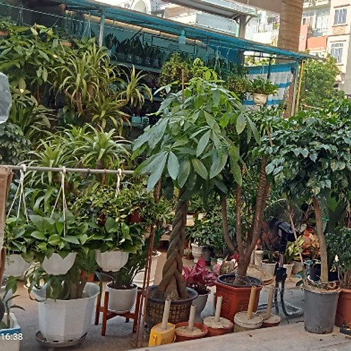 ĐOÀN VĂN HƯỞNG