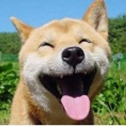 Vũ Như Cẩn