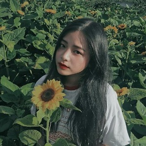 Phạm Nguyễn  Thúy Hằng