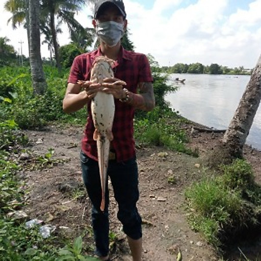TamMinh MInh
