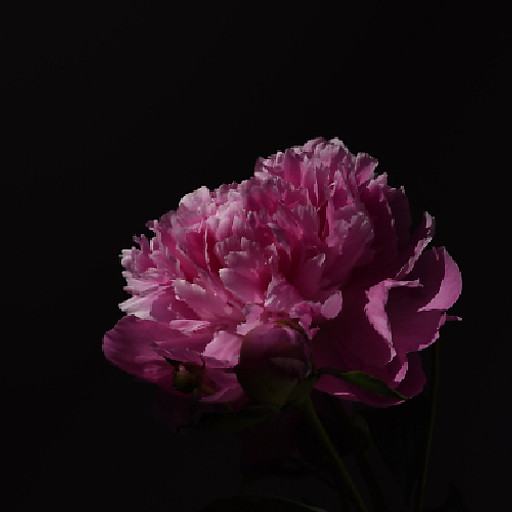 NGUYỄN THỊ THỤC ĐOAN