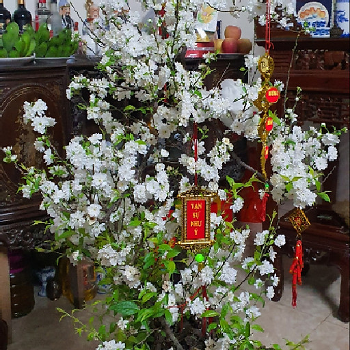 Hoàng Anh