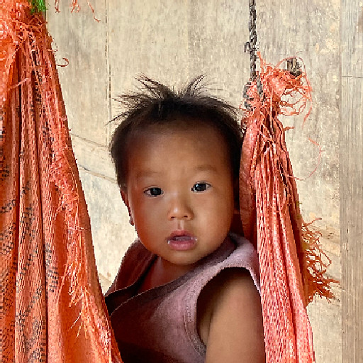 Nguyễn Thái Bình