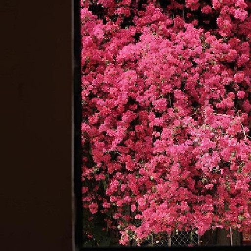 Vương Tường Long