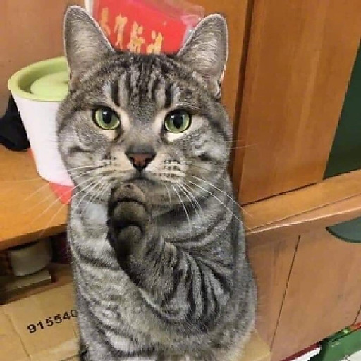 Phạm Quốc Đạt