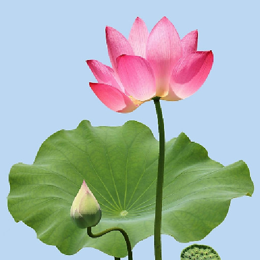 Nguyễn Thanh Toàn