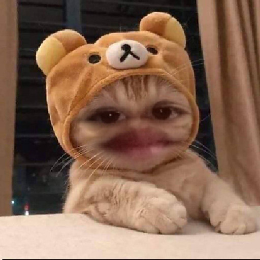 Nguyễn Công Dươngg 