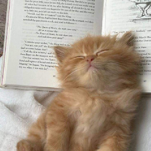 Tài khoản Facebook