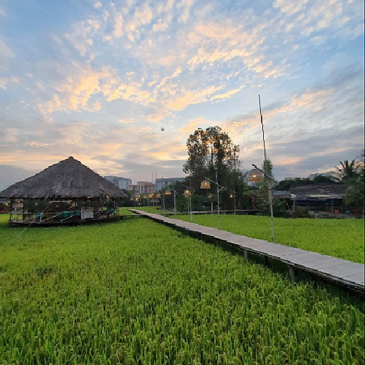 Huỳnh  Quốc Dũng