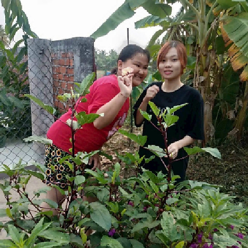 Đã Mất Lòng Tin