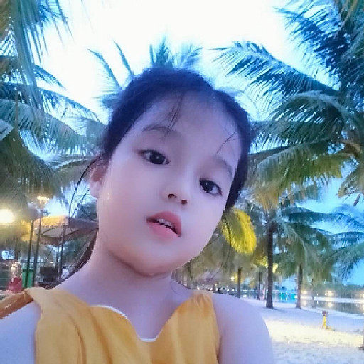 Nguyễn Tấn Ninh