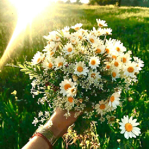 Đinh Thị Kim Cúc