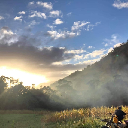 Lê Trần Phương Thảo 