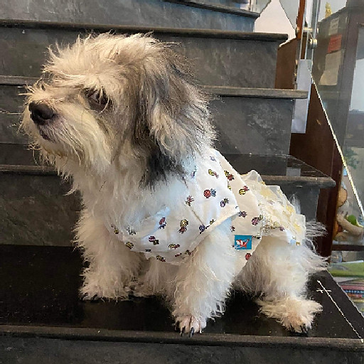 Ngọc Hồng Trần