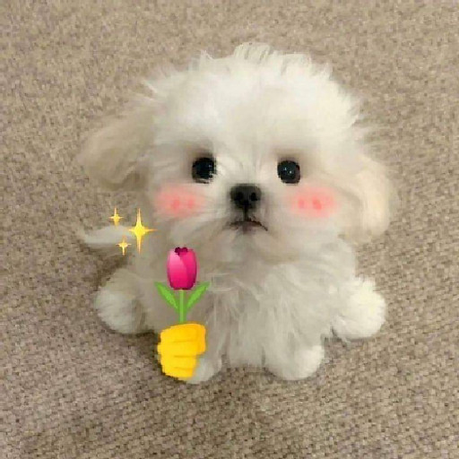 TIEN NGUYEN THI THUY