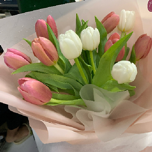 Nguyễn Thị Hải Vân